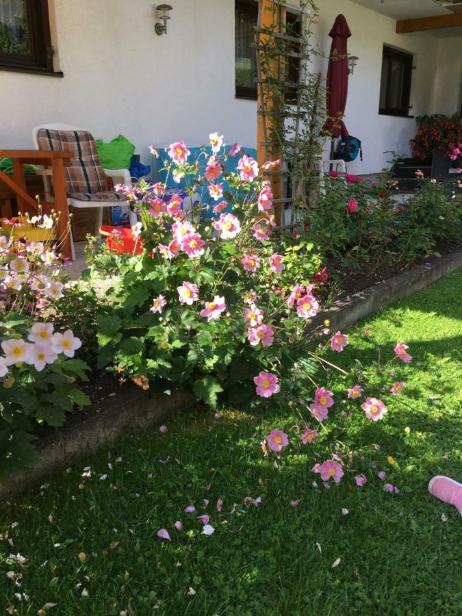 Appartements Wacker Bichlbach Luaran gambar
